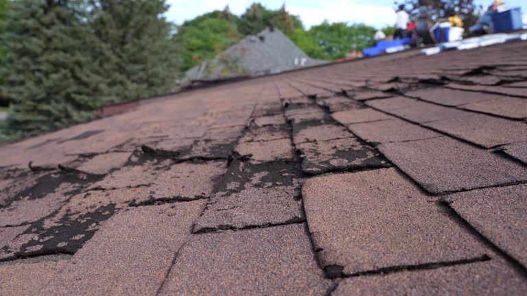 Best Rubber Roofing (EPDM, TPO)  in Hawaiian Beaches, HI
