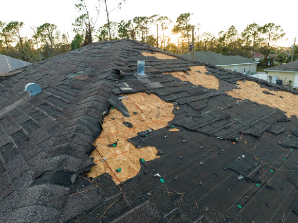 Best Commercial Roofing Services  in Hawaiian Beaches, HI